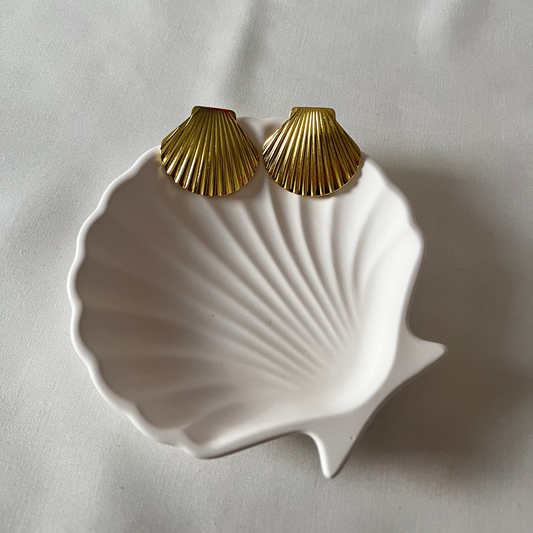 Asc Gold SeaShell Çelik Küpe